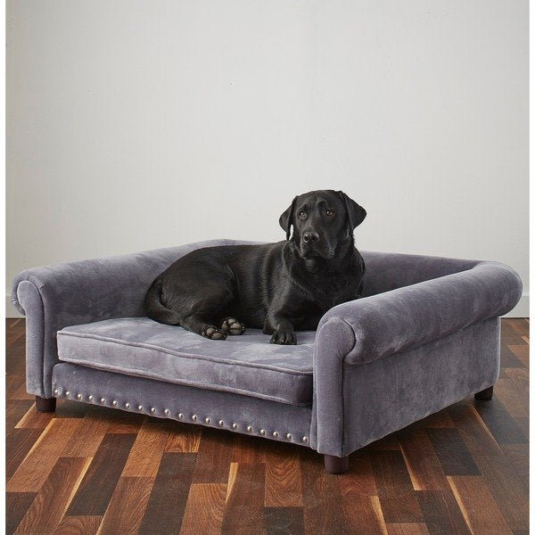 Big dog on couch best sale